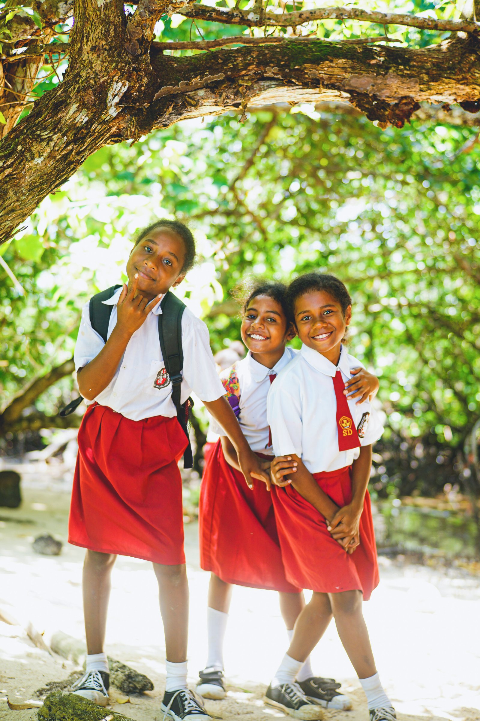 Ferosa Laura Making's Avatar